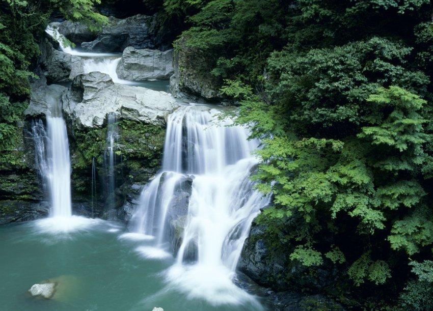 烘培蛋糕记忆卡